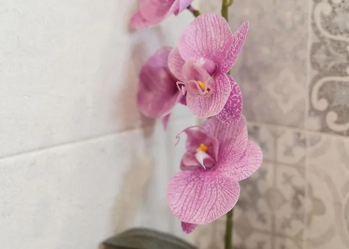 Casa Gisa Appartement Olbia