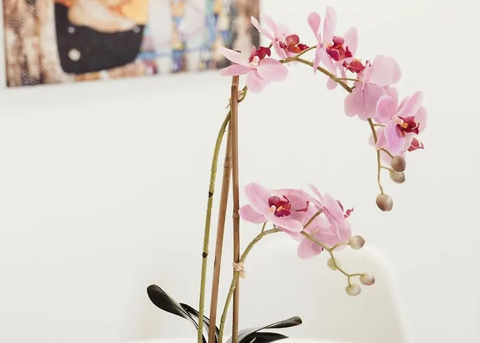 Casa Gisa Apartamento